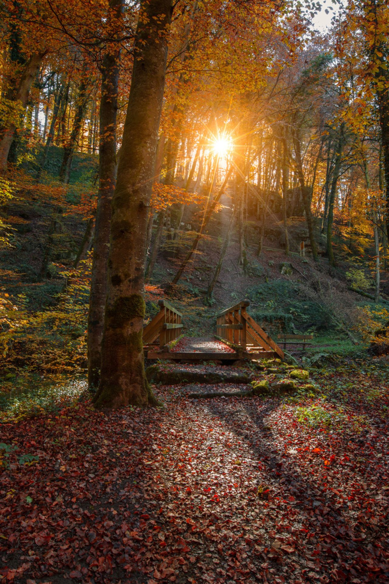 Tourismus - planen Sie Ihren Urlaub in Deutschland und im Ausland ...