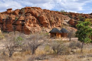 Parc national de Mapungubwe - Evangelina - 0