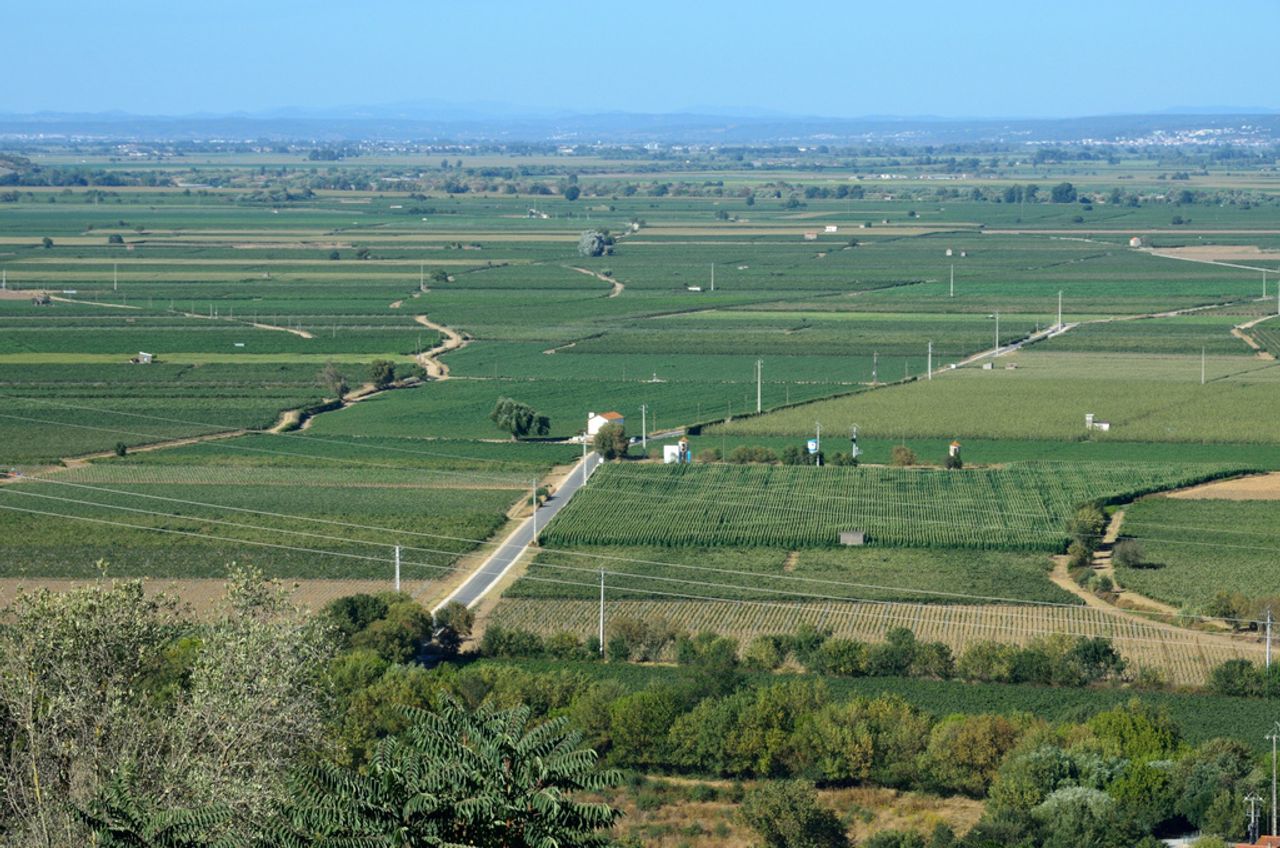 Mapa MICHELIN Fazendas de Almeirim ViaMichelin