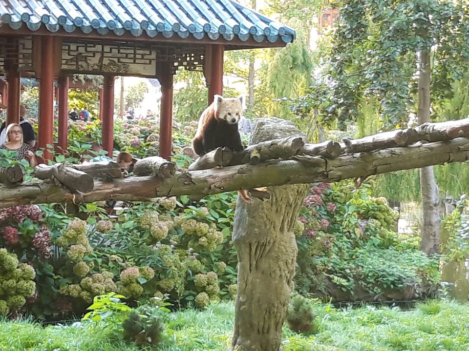 Kaart MICHELIN België ViaMichelin